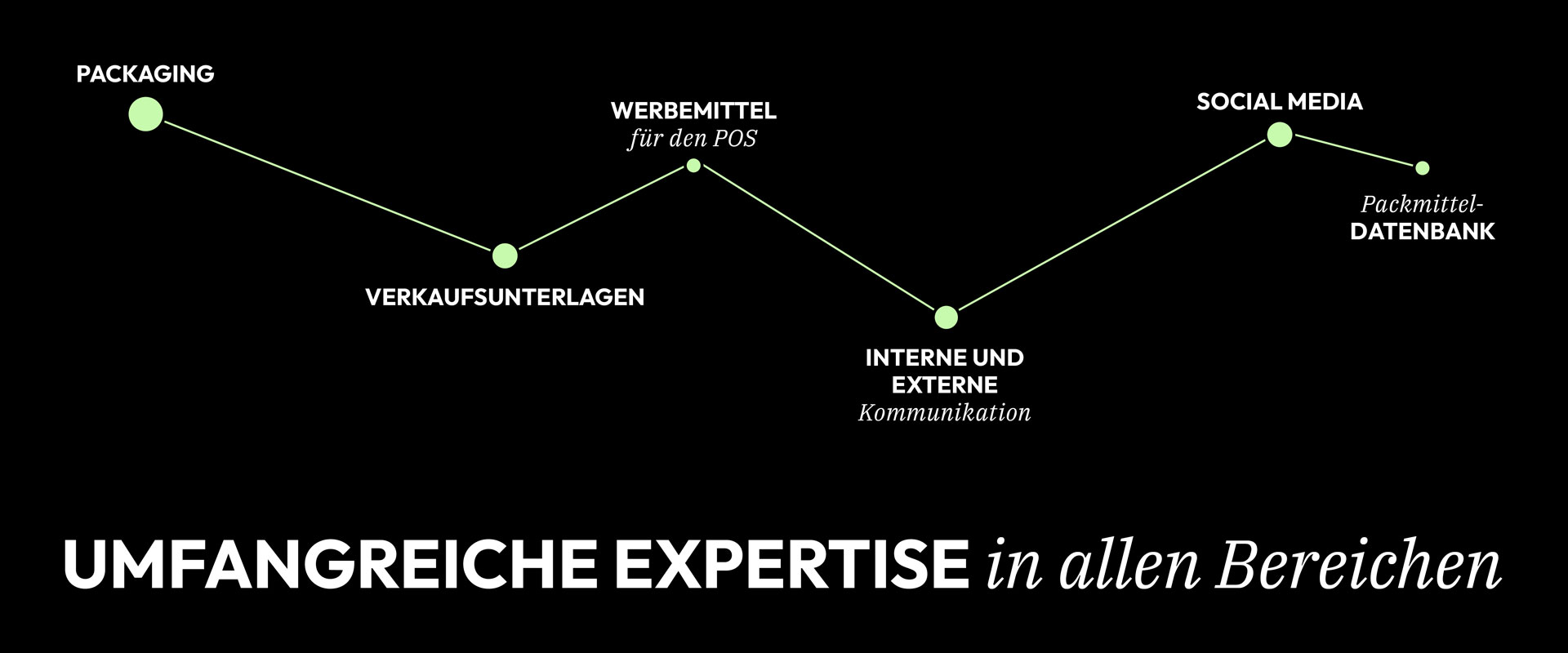 Darstellung der Expertise